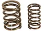 Valve springs