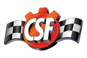 CSF
