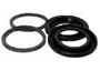 Caliper Seals |Pistons