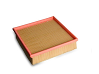 Air filter element 021129620