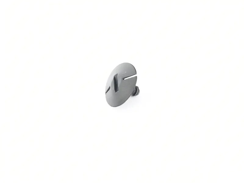 round hd. screw 1H0819943