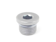 threaded plug 95533205700