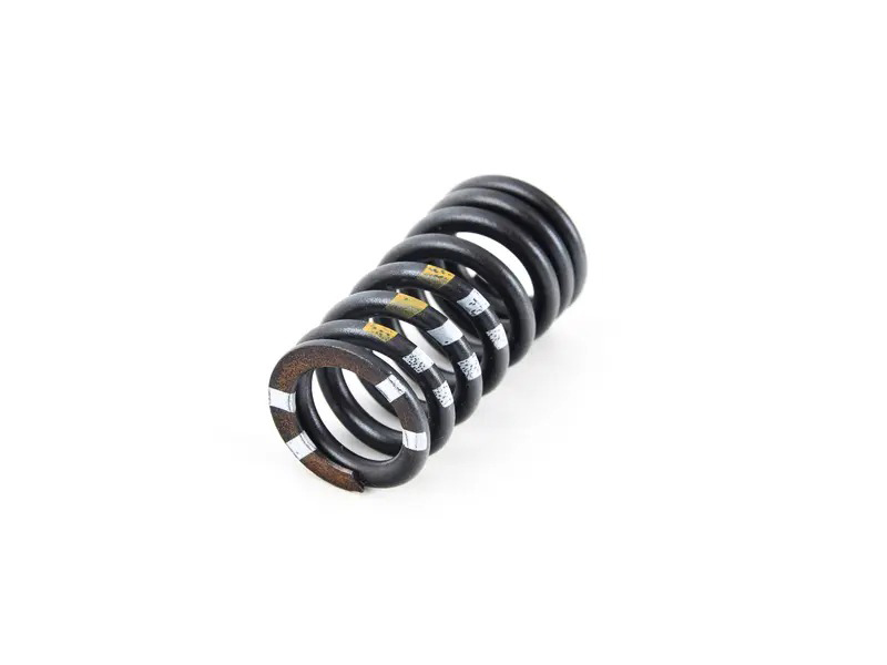 Valve spring 95810962300