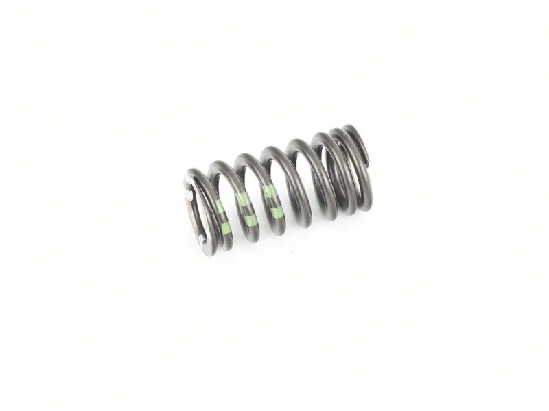 Valve spring 95810962330