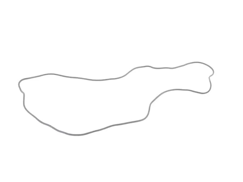 gasket for housing 99720160100