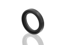 radial shaft seal 99911324740
