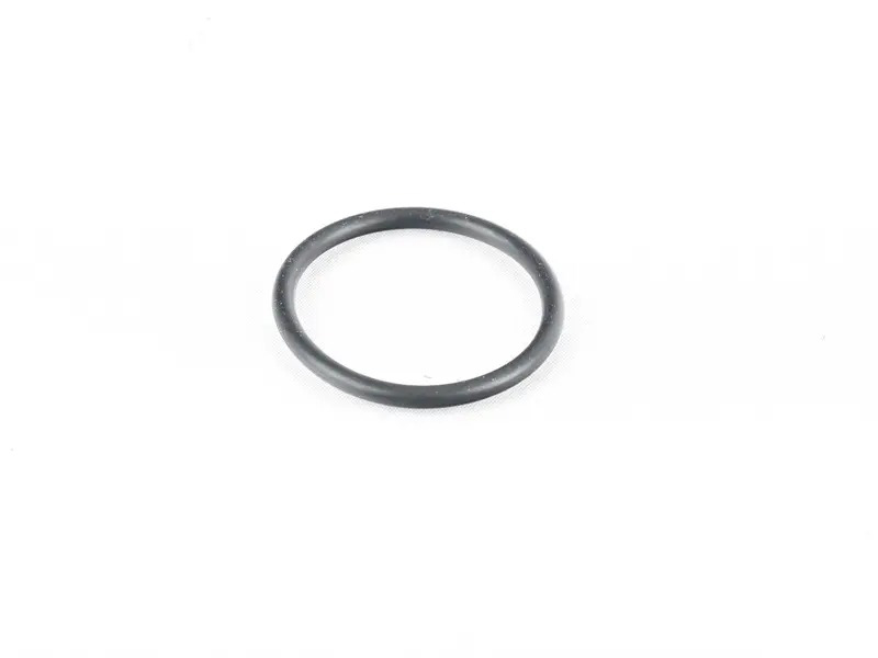 O-Ring 99970711540