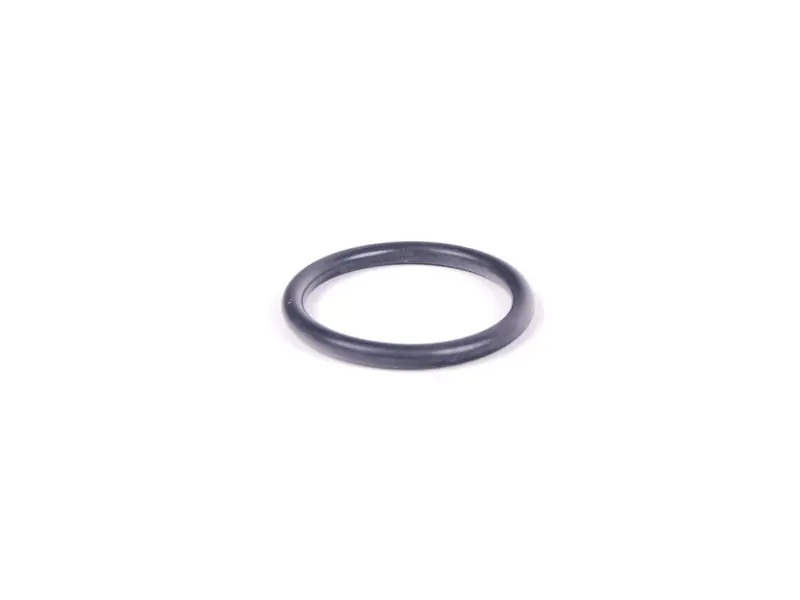 O-Ring 99970738940