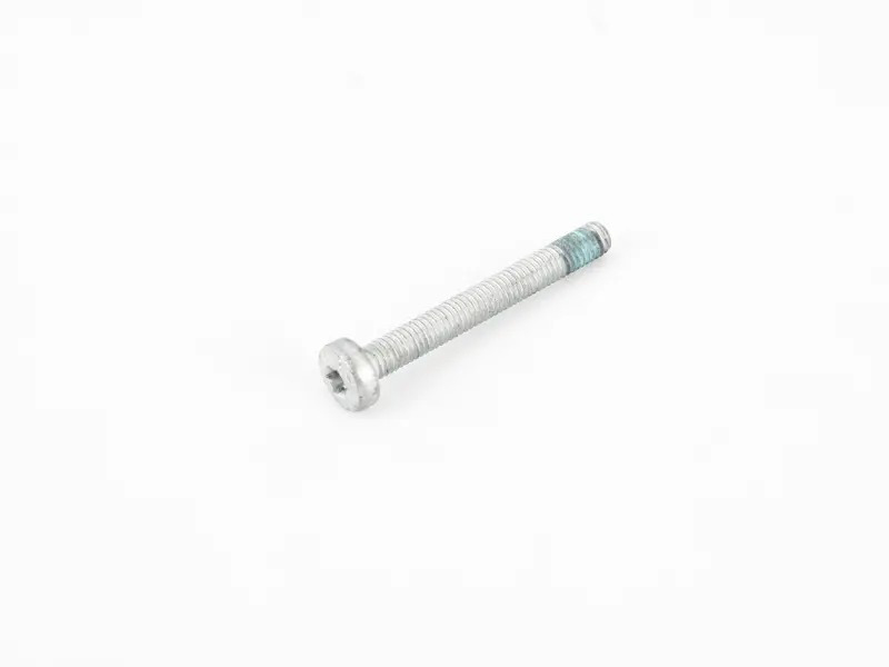 round hd. screw N10470705