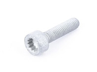 bolt with polygon socket hd. N91128701 bolt with polygon socket hd. N91128701