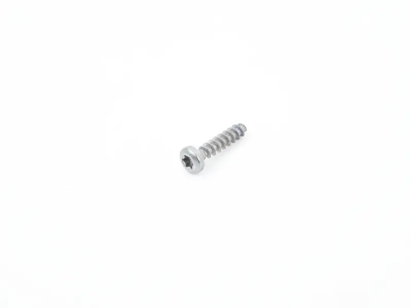 fillister hd. screw PAF008933