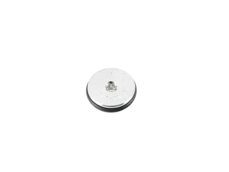 Seal bolt with sealing ring PAF009390