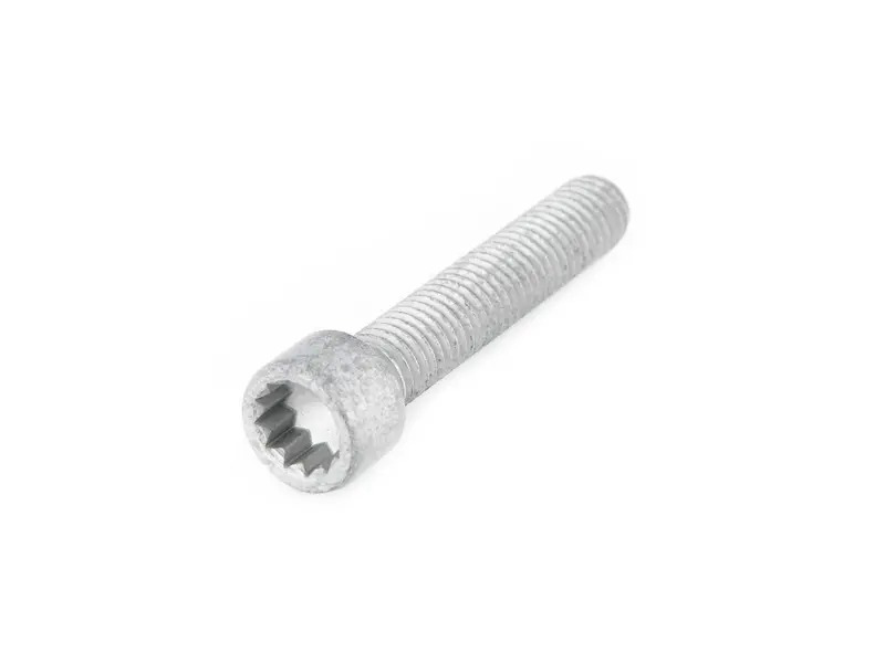 bolt with polygon socket hd. PAF105234 bolt with polygon socket hd. PAF105234