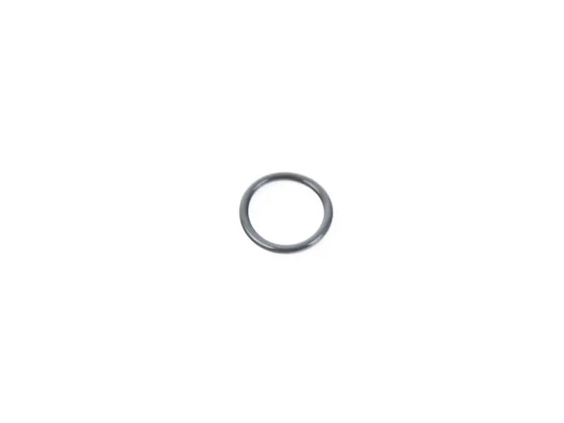O-Ring WHT002789