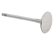 Zylinderkopf-Einlassventil des Motors. Porsche 996 Turbo / 997 Turbo - 99610511172