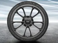 20' 991.2 GT3 en platine (satin-brillant) Jantes en alliage d'origine Porsche - 99104460311