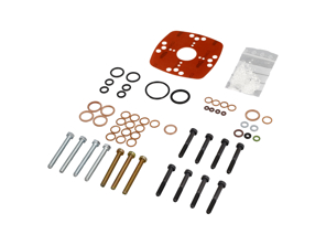 Dichtungssatz für Kraftstoffverteilerkopf. Porsche 924 Turbo - 931110907X, 93111090700, 026 TX2 008
