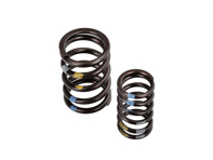 Valve Spring Set. Porsche 997 GT3 3.8L / 4.0L M97.77 / M97.74 2007-11 - 99710509396