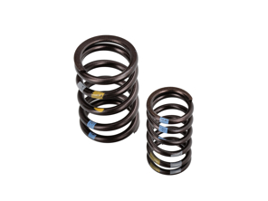 Jeu de ressorts de soupape. Porsche 997 GT3 3.8L / 4.0L M97.77 / M97.74 2007-2011 - 99710509396