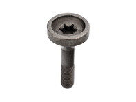 Torx screw exhaust cam sprocket M12x1,5x60. Porsche 987.2 / 981 / 997.2 / 991.1 - 9A110525502, 9A110525501