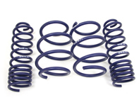 H&R Lowering Springs Kit. Renault Megane Sport (165kW) 04- - 29190-1, 291901