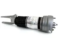 Shock Absorber Front (Air Suspension type). Porsche 970 Panamera RIGHT - 97034305108, 97034305208, 97034305109, 97034305209, 97034305110, 97034305210, 97034305111, 97034305211, 97034305112, 97034305212, 97034305114, 97034305214, 97034305220, 97034305120