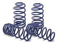 H&R Lowering Springs Kit. - 28931-1, 289311