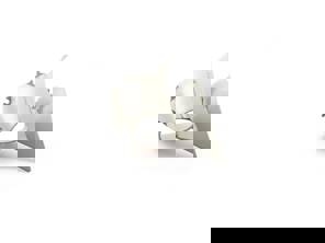 Lichtmaschine mit Luftleitblech. Porsche 911 - 91110603300 - COL11.1.141