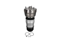 Molla pneumatica dell'ammortizzatore anteriore. Porsche Panamera 970 2010-16 - 97034315133, 97034315136, 97034315135, 97034315233, 97034315236, 97034315235, 97034315238, 97034315138