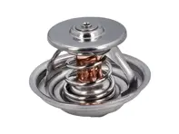 Waterthermostaat inzetstuk. Porsche 955 Cayenne 3.2L 95510611300 - 95510611300, 4455.80D, 8MT 354 778-161 - TX3080D