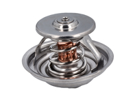 Water thermostat insert. Porsche 955 Cayenne 3.2L - 95510611300, 4455.80D, 8MT 354 778-161