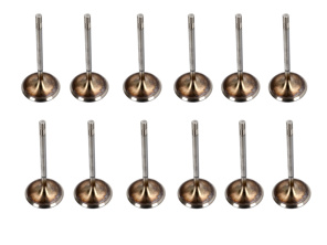 Kit valvola di scarico testata motore. Porsche 987 Boxster 2.7L / 987C Cayman 2.7L - 98710511600 - 503 VA 32009 000