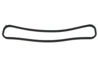 Kettenkastendichtung. Porsche 996 Turbo/GT3 und 997 Turbo/GT3 - 99610551372, 99610551472, 235.911, 235.881