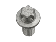 Clutch Pressure Plate Mounting Bolt. Porsche Boxster / Cayman / 991 / 996 / 997 / Panamera / Cayenne - 99907345801, 9A700407600