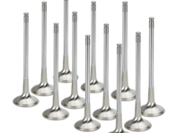 Set valvola di scarico testata. Porsche 958 Cayenne Ibrida / 970 Panamera Ibrida - 95810532220 - I01015008