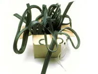 Restoration Rubber Seals Kit. Porsche 911 Targa Standard Body - 91153163100, 91153163200, 90150339422, 99991108440, 90150549720, 91163197001, 91163197101, 91163197000, 91163197100, 90150509120, 90253109340, 91151212900, 91154290500, 91154122504, 90151190106, 91154213540, 91154213640