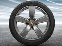 20 英寸 Cayenne Sport Classic 铂金（缎光）合金车轮和冬季轮胎 原装保时捷 - 9Y0044610E