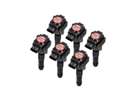 Performance Ignition Coil Pack (PACK OF 6). Porsche 996 / Boxster 986 / Boxster 987 / 997 / Cayman - 99760210402, 99760210400, 99660210400, 99760210404, 0986221119, 90660210200, 90660210301, 99660210100, 99660210101, 99660210200, 99760210401, 99760210700, 99760210702, 99760210406, 99760210405, 90660210101, 99760210703, 4201R - EUPD6004202R