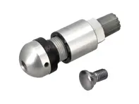 Reifendruckkontrollventilschaft. Porsche 997 / Boxster / Cayman / Cayenne / Panamera - 95536105300, 9P1601361C, 9P1601361A, 73902021, 9P1601361D, 9P1601361D/1, N90872901 - RDV021