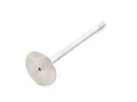 La soupape d'échappement. Porsche Cayenne / Panamera / Macan - 94810532252 - I02015013