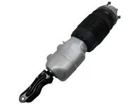 Ammortizzatore anteriore con sospensioni pneumatiche. Porsche 971 Panamera 2016-20 - 971616037G, 971616037J, 971616037L, 971616037N, 971616038G, 971616038J, 971616038L, 971616038N
