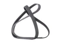 Antriebsriemen Porsche 991 GT3 und 991 GT3 RS - 9A110221891