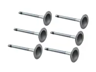 Motor cilinderkop inlaatklep kit. Porsche 911S 1969 - 90110541100