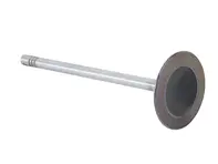 Zylinderkopf-Einlassventil des Motors. Porsche Boxster 986 3.2L / 996 - 99610511152, 99610511155, 3843.032, 854415-6