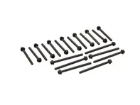 Cylinder head bolt set. Porsche 955 Cayenne 3.2L - 95510438400, 95510438410, 332.830 - 332.830