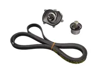 Water Pump, Belt & Thermostat Insert Kit. Porsche 957 Cayenne S / GTS / Turbo - 94810603301, 94810612500, 94810612501, 7PP903137, 95510225100