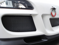 Rennline  Front Bumper Wire Mesh Grill Kit. Porsche 997 Carrera - E89.93.95, E899395