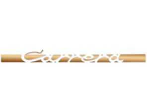 Autocollant latéral 'CARRERA', en or mat. Porsche 911 Carrera 2.7 - 91155903400, 91155903401, 91155903402, 91155903403, 91155903404