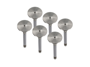 Kit valvola scarico testata motore. Porsche 911 1970 - 77 - 91110541500, 91110541550