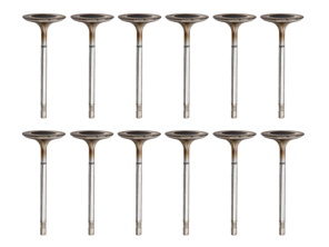 Einlassventilsatz für Zylinderkopf. Porsche 987 / 981 / 997.2 / 991.1 - 9A110531202